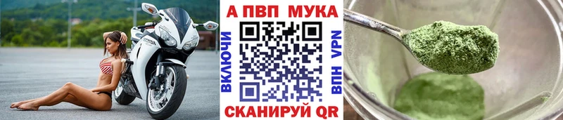 ссылка на мегу вход  Нарткала  Alpha PVP крисы CK 