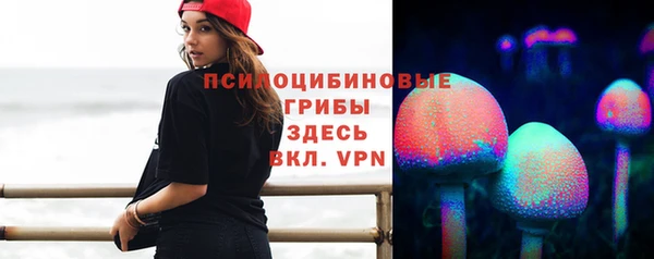 кокс Аркадак