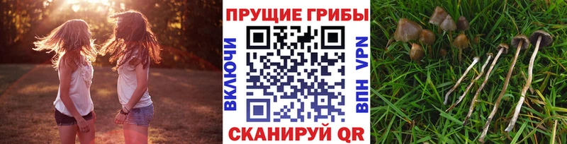 Галлюциногенные грибы Magic Shrooms  хочу наркоту  Нарткала 